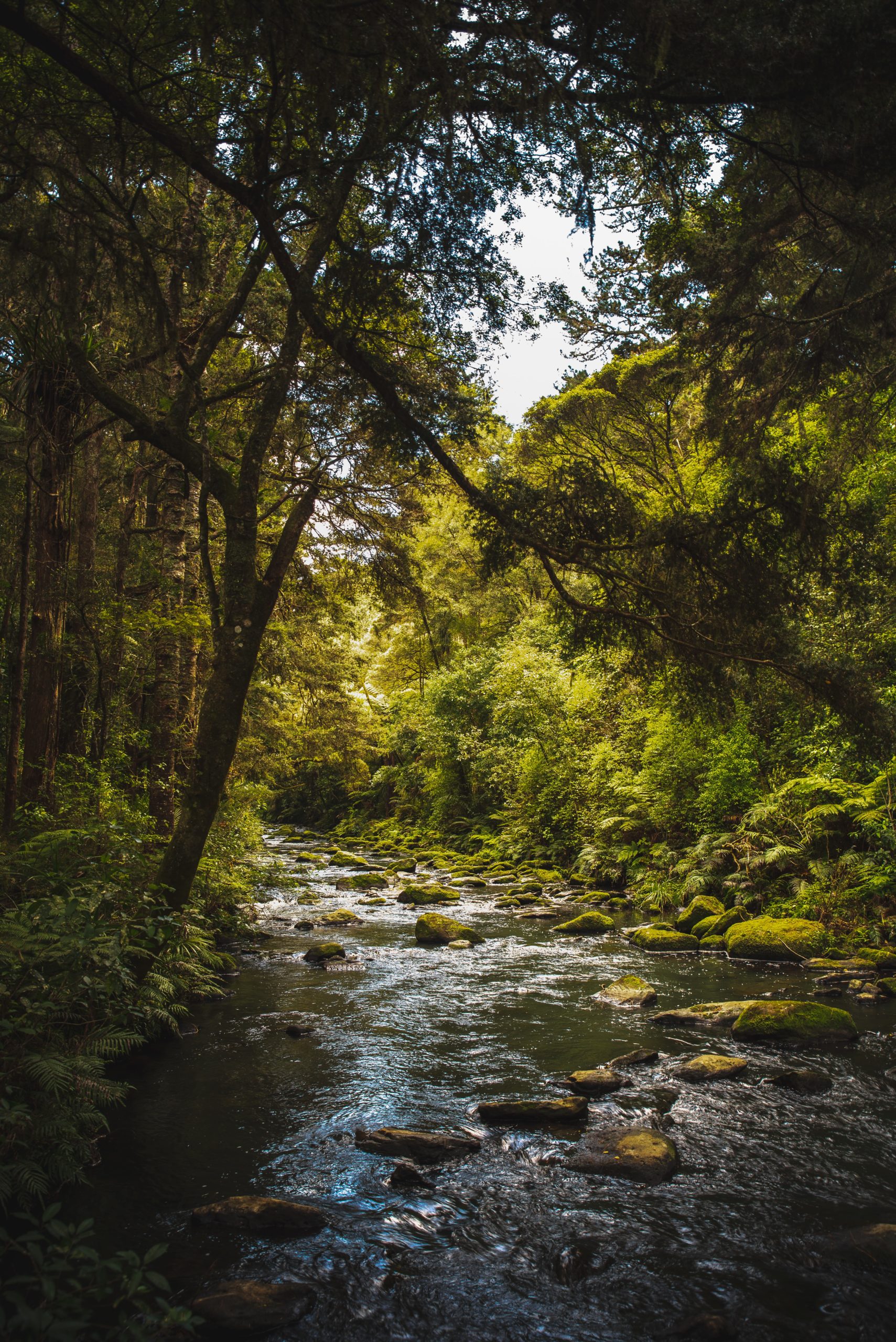 casey-horner-river-unsplash