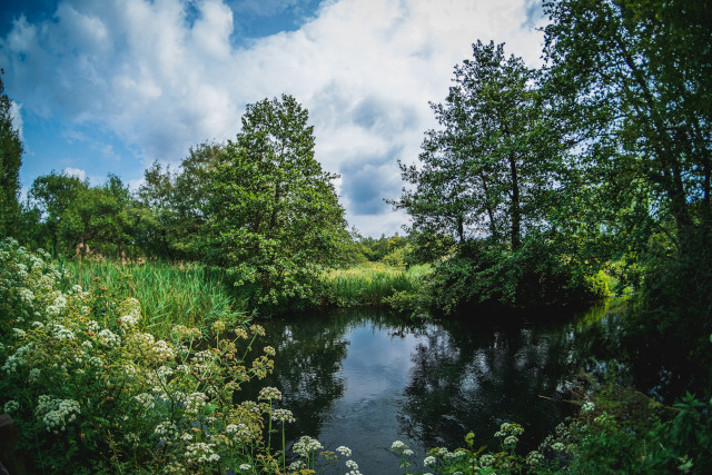 alfred-kenneally-pond-unsplash